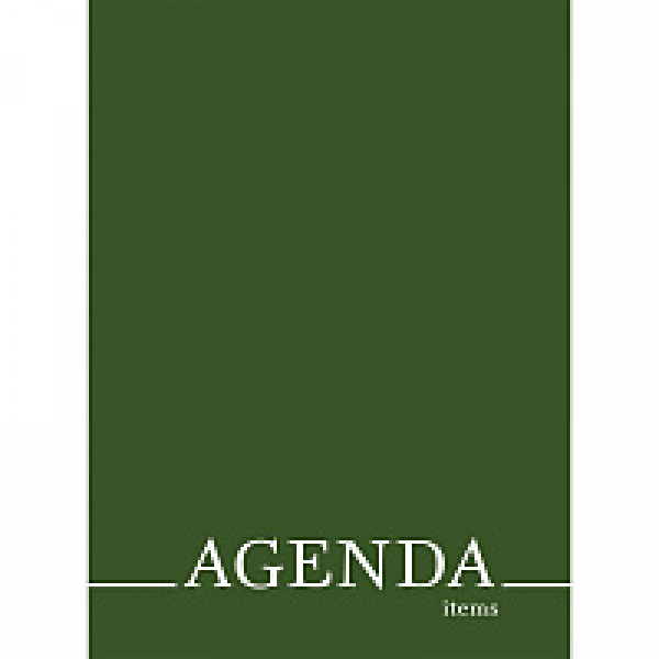 Книга записная A4 290*210 мм, 120 л. Agenda. Green сшивка сбоку, обл. карт., выб. лак, зеленый