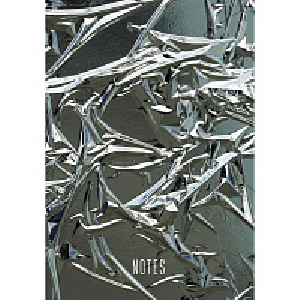 Книга записная A5 210*145 мм, 100 л. Metallic luster сшивка сбоку, обл. карт., серый