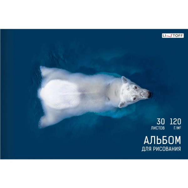 Альбом д/рисования A4 30 л. Белый медведь на склейке Альбом д/рисования A4 30 л. Белый медведь на склейке