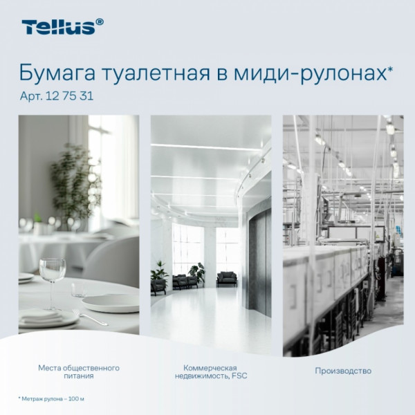 Бумага туалетная  Tellus Комфорт T6 в миди-рулонах 100м, 2-сл.