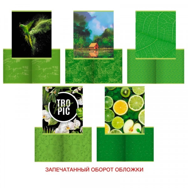 Тетрадь А5 48 л., клет. Green mix скоба сбоку, обл. карт., ассорти Тетрадь А5 48 л., клет. Green mix скоба сбоку, обл. карт., ассорти