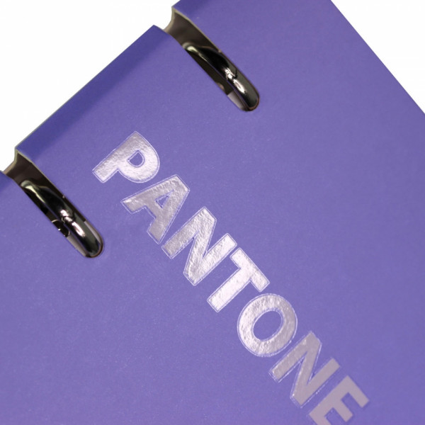 Тетрадь А5 120 л., клет. Pantone line. No. 4 на кольцах,  обл. карт., мат.ламинация+пантонная печать, фиолетовый