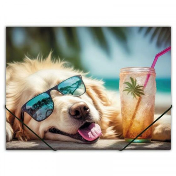 Папка на резинках 15 мм. Chillout dog пласт.