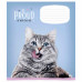 Тетрадь А5 12 л., лин. Little pets friends скоба сбоку, обл. карт., ВД-лак, ассорти
