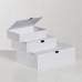 Коробка подарочная White S 20,04*14*5,1 см, МДФ, белый