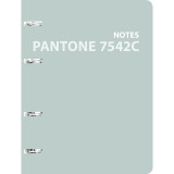 Тетрадь А5 120 л., клет. Pantone line. Color '21. No. 1 на кольцах,  обл. карт., мат.ламинация+пантонная печать, голубой